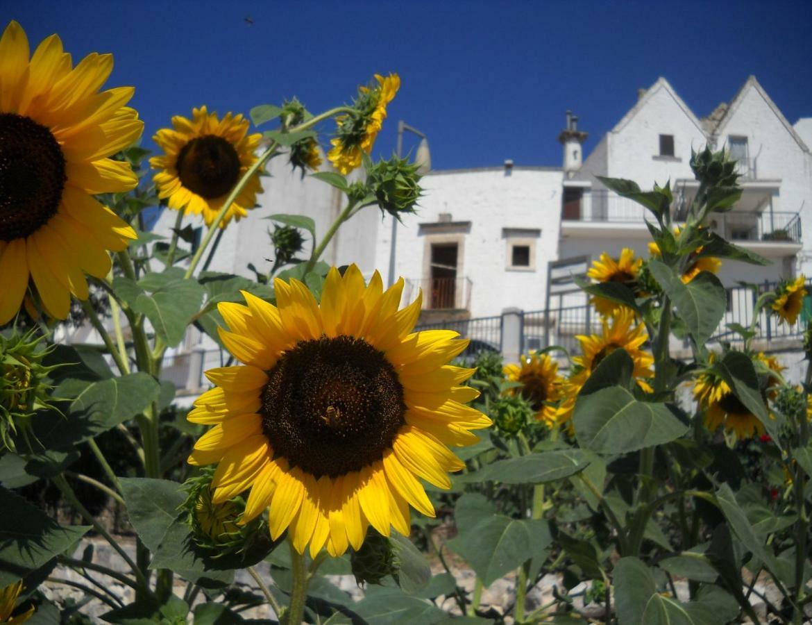 Cuore Dei Venti Martina Franca Buitenkant foto